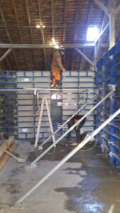 2b154de4 b373 49af 9240 8d8f4d9d262c